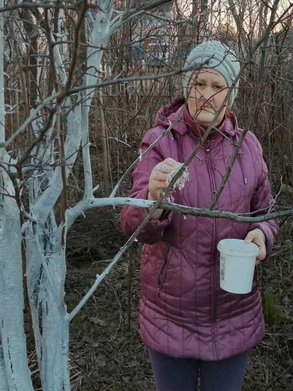 Весенняя уборка территории